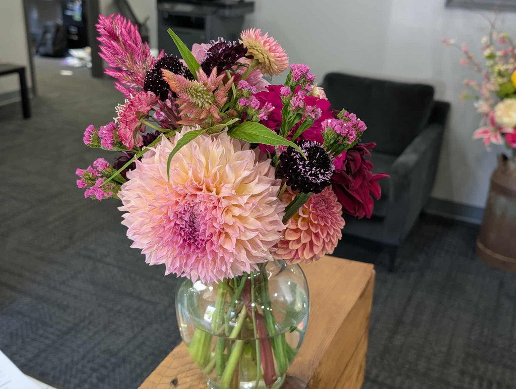 Lee's Pink Grapefruit Dahlia Tuber